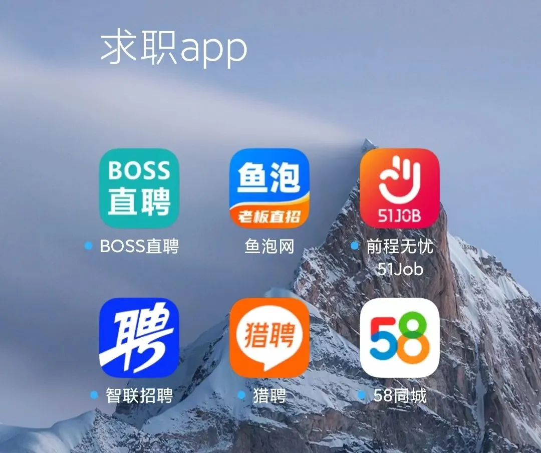 平阳最新找工作用什么平台最好方法分析(最方便真实的平阳找工作用什么平台最好2025年6月方法)